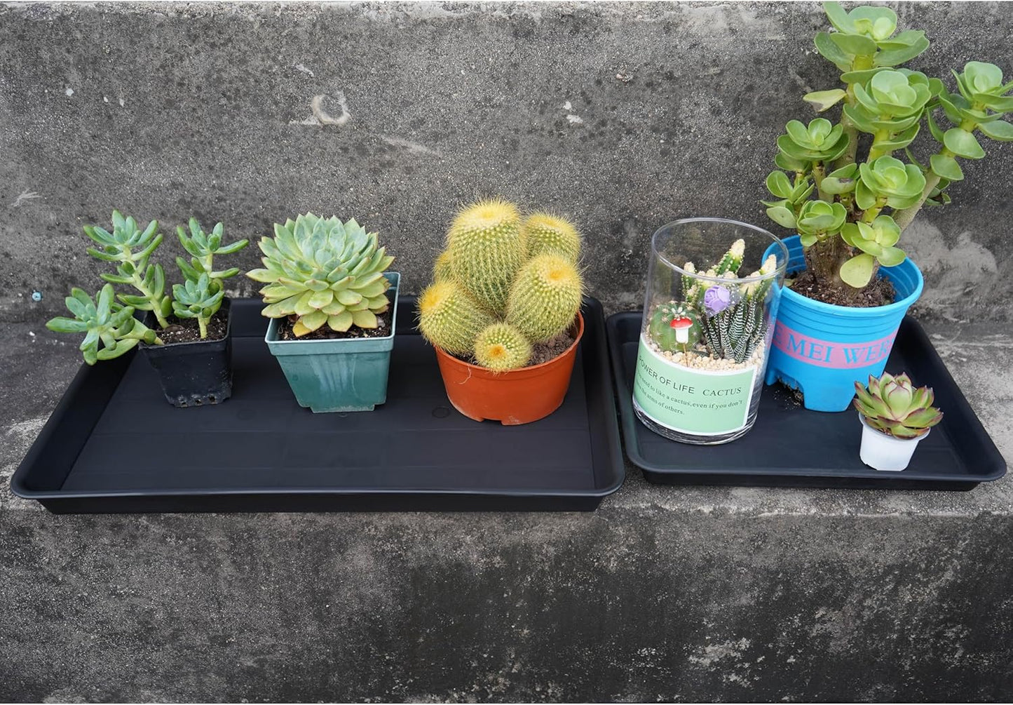 Plant Growing Trays 4 Pack, Plant Tray, 14.5"x11", Heavy Sturdy Plastic Plants Saucer, Seedling Starter Trays, Seed Starter Growing Tray (Black)