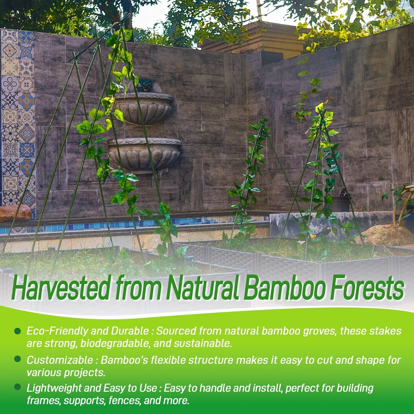 50Pcs 4ft Bamboo Sticks for Indoor Outdoor Plants, 0.29"-0.38" Natural Bamboo Poles, Durable Garden Stakes for Tomatoes, Beans, Flowers and Potted Plants