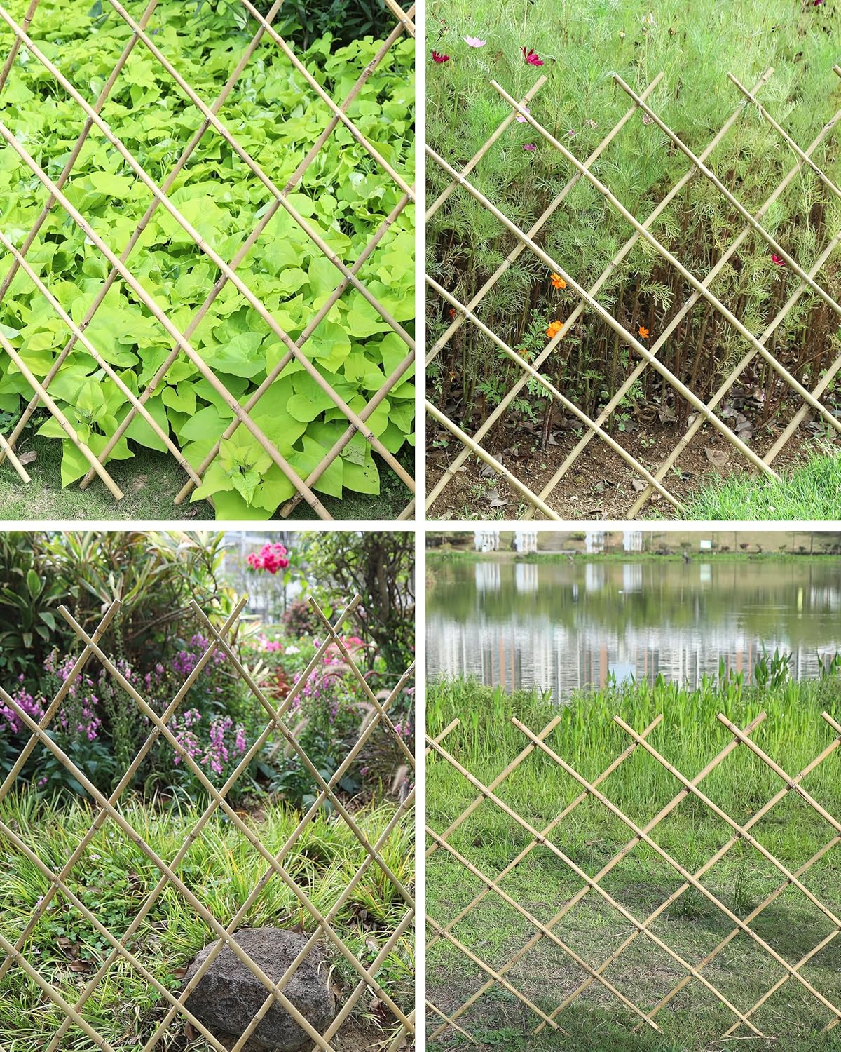 Expandable Bamboo Trellis Fence 48x72 Inch, Plant Support for Climbing Plants, Vines, Ivy, Roses, Vegetables, Cucumbers, Clematis, Garden Fence Indoor Outdoor